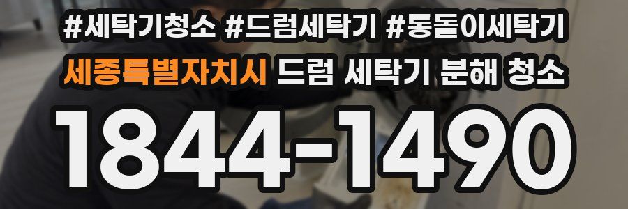 세종특별자치시 드럼 세탁기 분해 청소