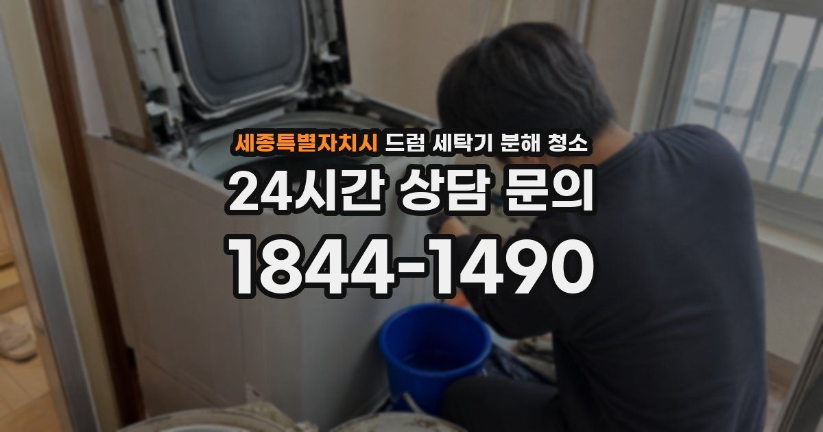 세종특별자치시 드럼 세탁기 분해 청소