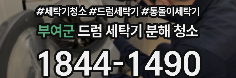 부여군 드럼 세탁기 분해 청소