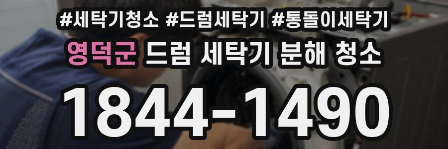 영덕군 드럼 세탁기 분해 청소