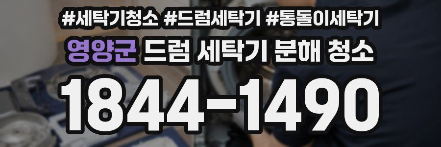 영양군 드럼 세탁기 분해 청소