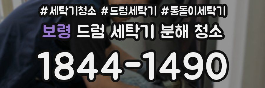 보령 드럼 세탁기 분해 청소