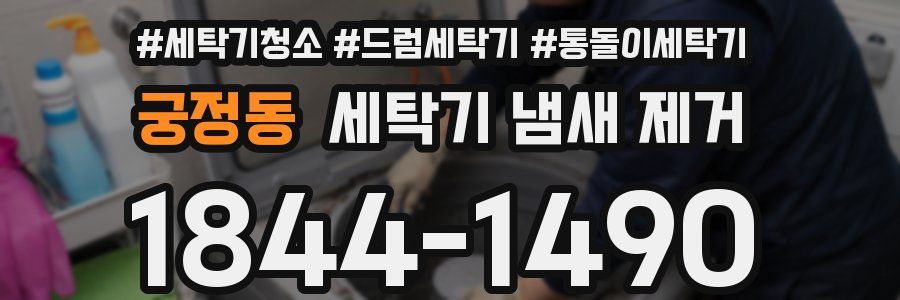 궁정동 세탁기 냄새 제거