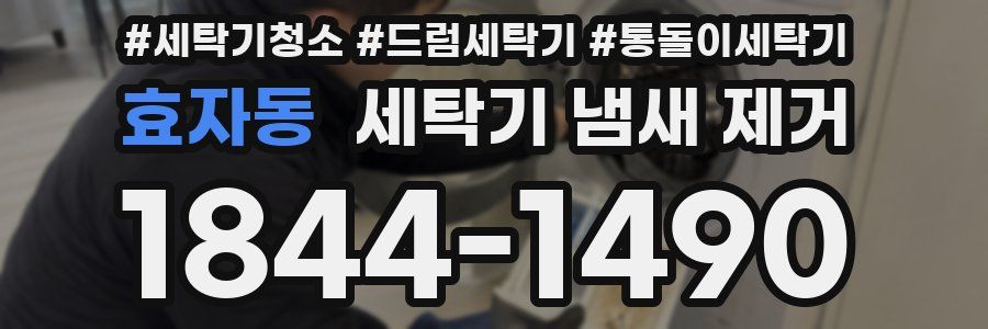 효자동 세탁기 냄새 제거