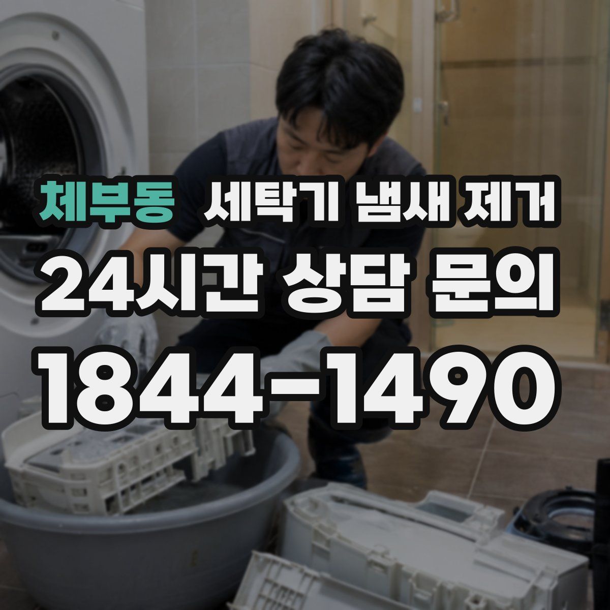 체부동 세탁기 냄새 제거