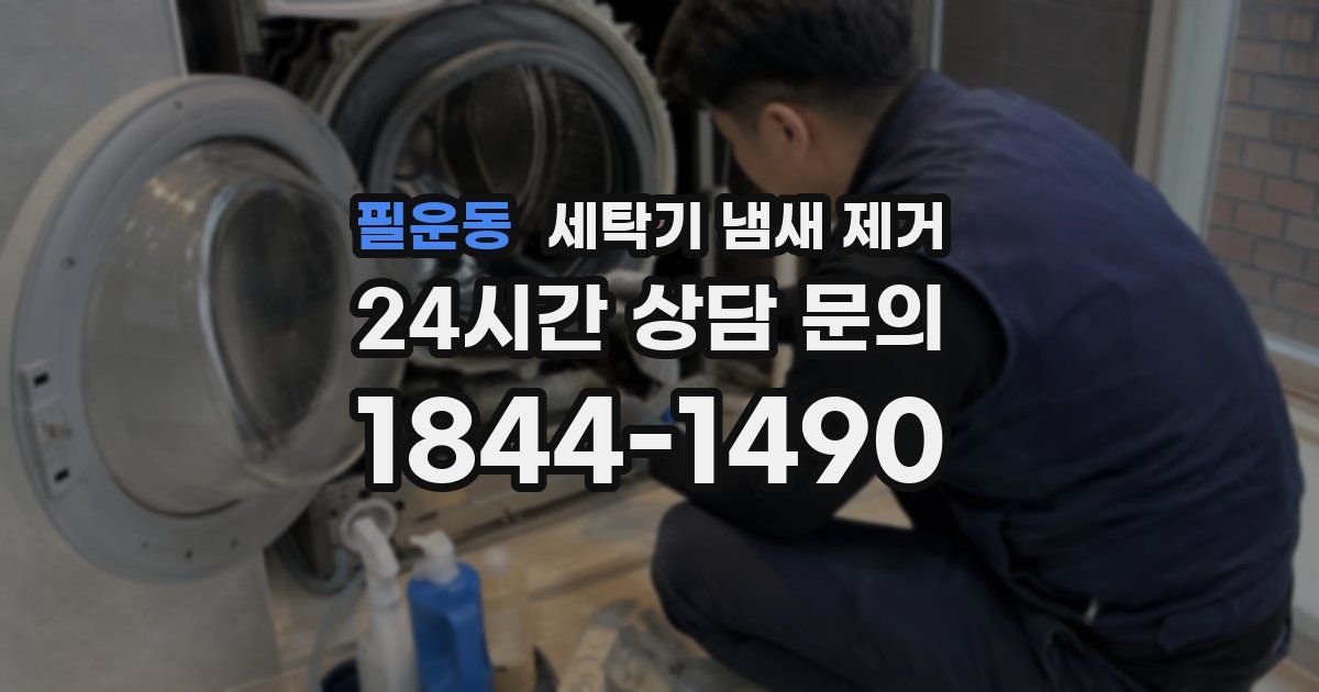 필운동 세탁기 냄새 제거