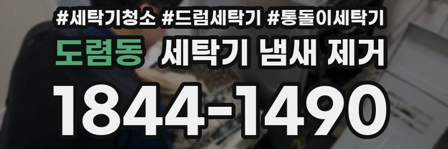 도렴동 세탁기 냄새 제거