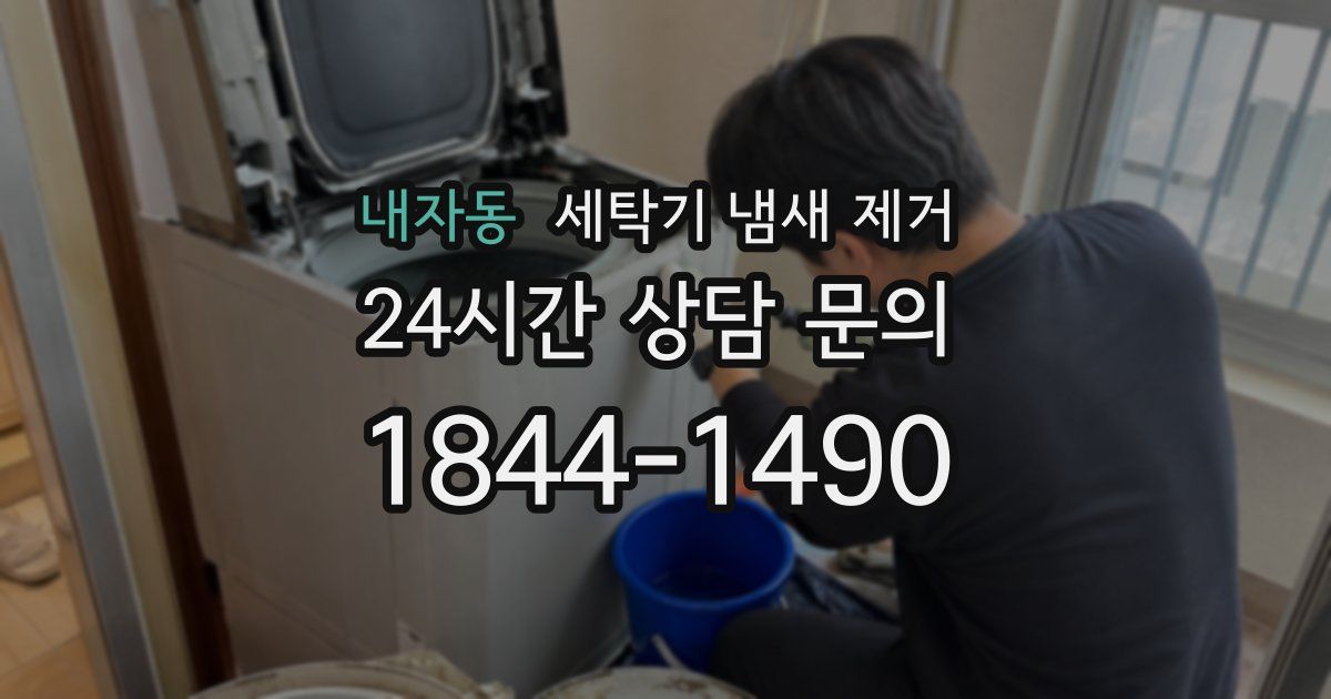 내자동 세탁기 냄새 제거
