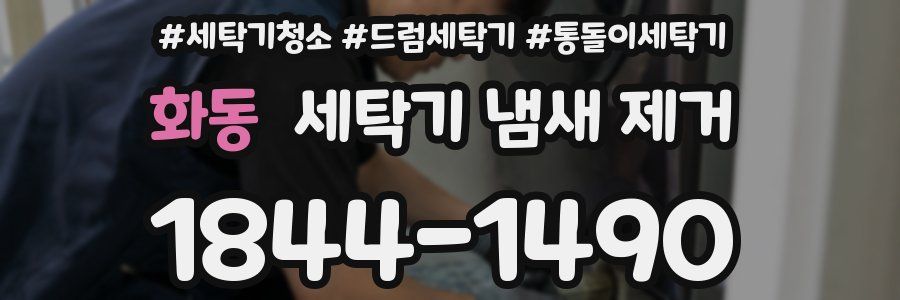 화동 세탁기 냄새 제거