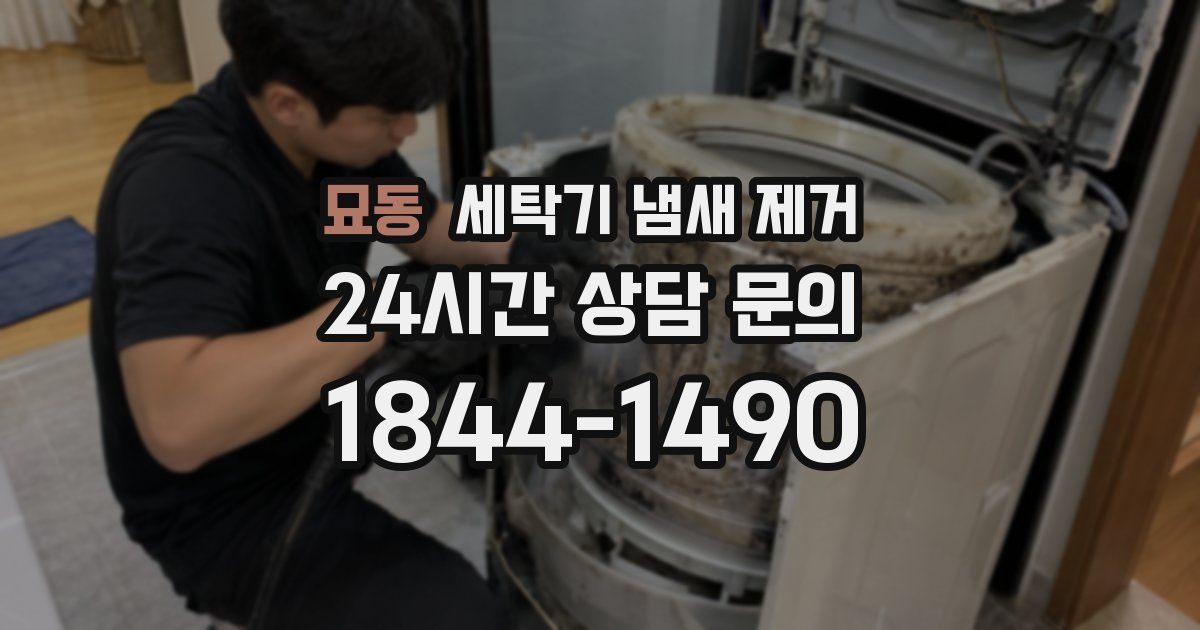 묘동 세탁기 냄새 제거