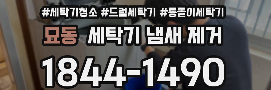 묘동 세탁기 냄새 제거