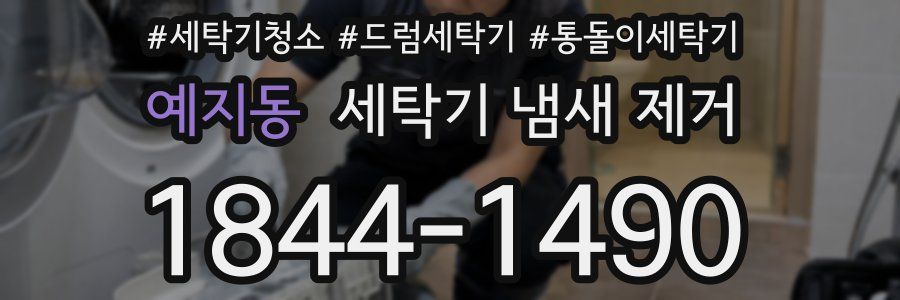 예지동 세탁기 냄새 제거