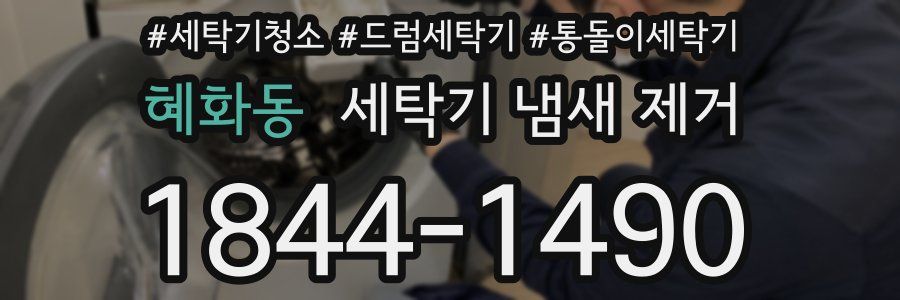 혜화동 세탁기 냄새 제거