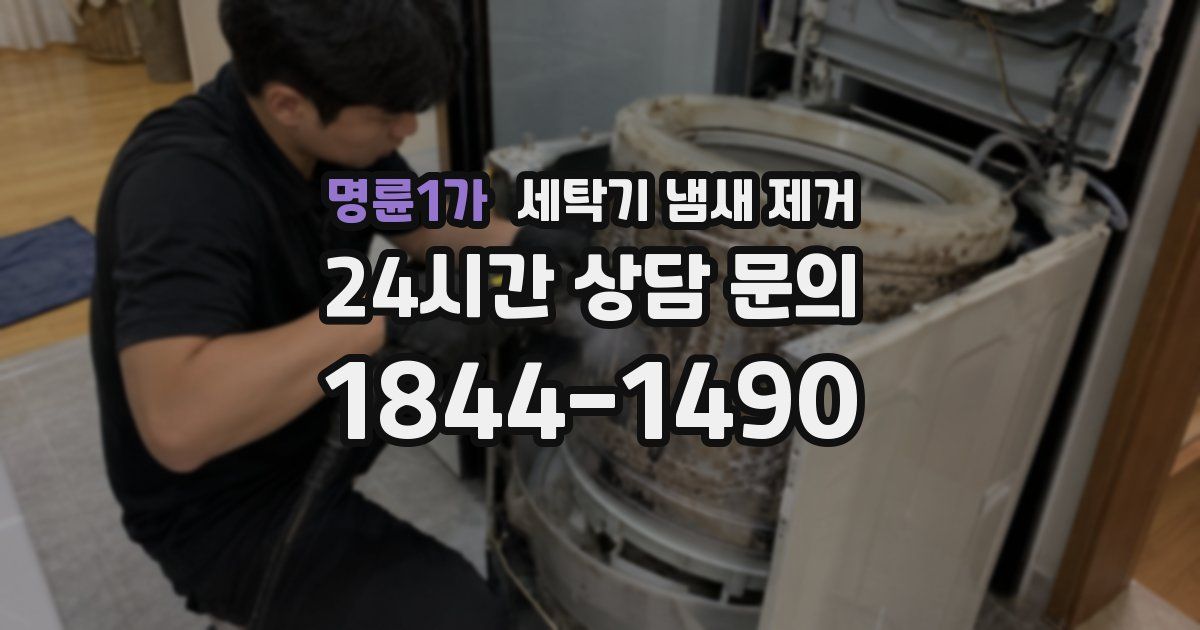 명륜1가 세탁기 냄새 제거