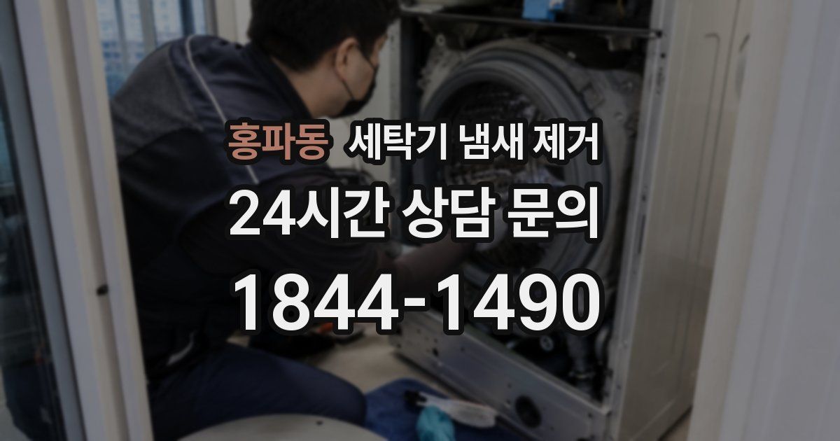 홍파동 세탁기 냄새 제거