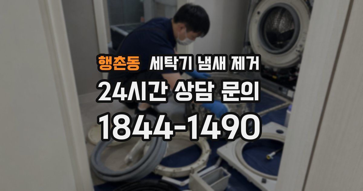 행촌동 세탁기 냄새 제거