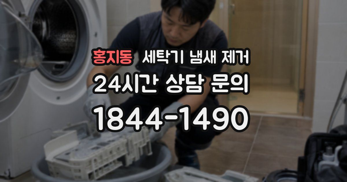 홍지동 세탁기 냄새 제거