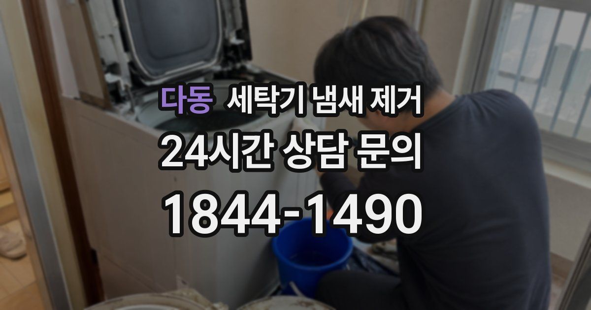 다동 세탁기 냄새 제거