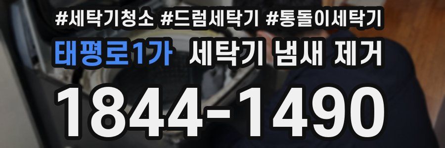 태평로1가 세탁기 냄새 제거