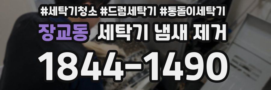 장교동 세탁기 냄새 제거