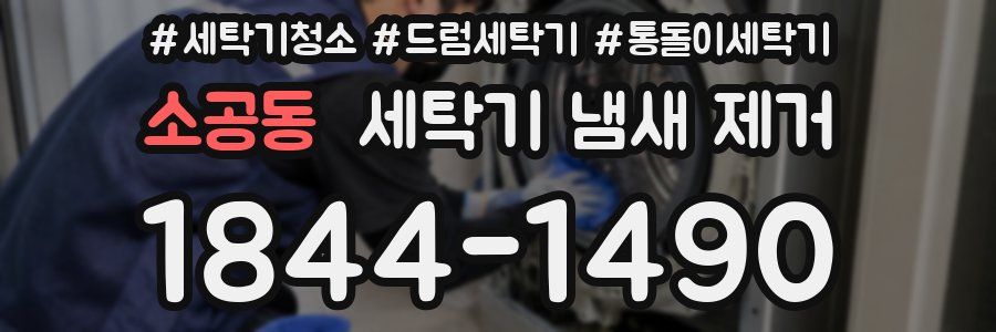 소공동 세탁기 냄새 제거