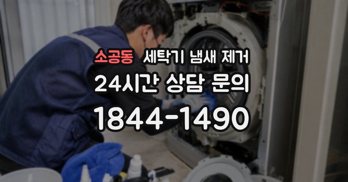 소공동 세탁기 냄새 제거