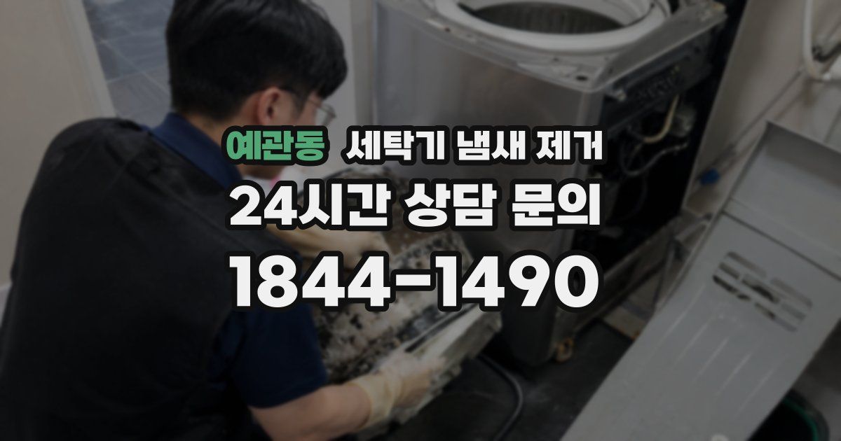 예관동 세탁기 냄새 제거