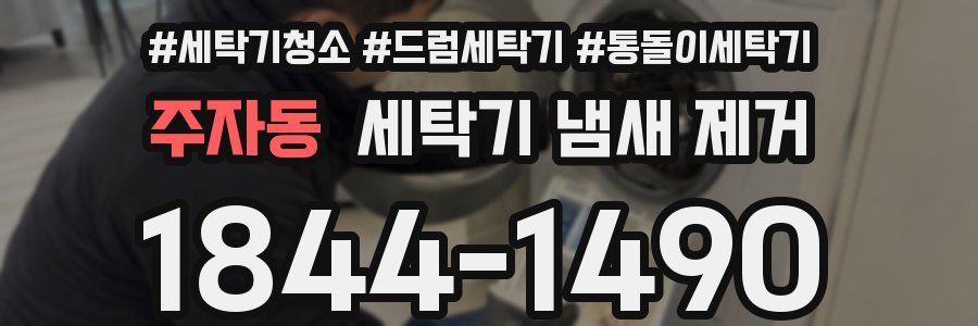 주자동 세탁기 냄새 제거