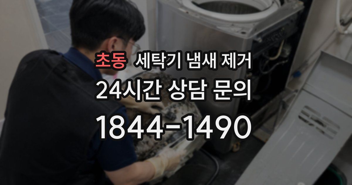초동 세탁기 냄새 제거