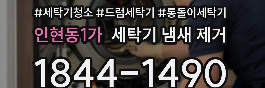 인현동1가 세탁기 냄새 제거