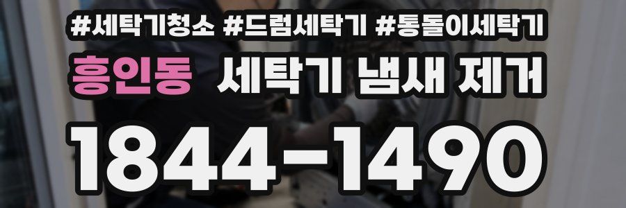 흥인동 세탁기 냄새 제거
