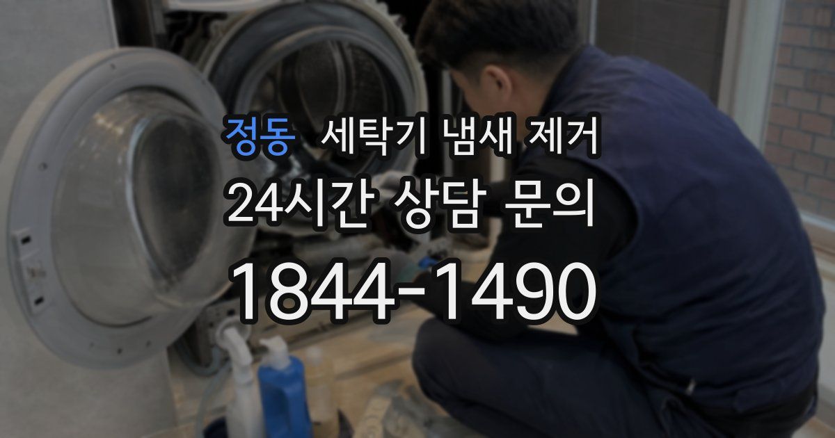정동 세탁기 냄새 제거