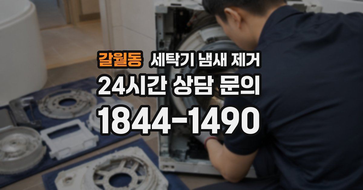 갈월동 세탁기 냄새 제거