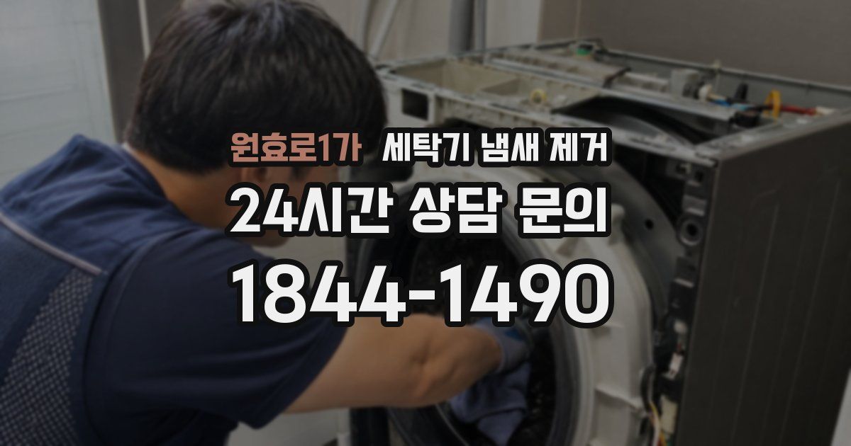원효로1가 세탁기 냄새 제거