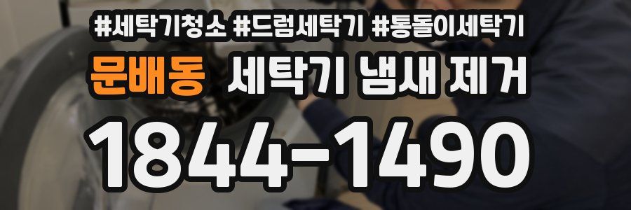 문배동 세탁기 냄새 제거