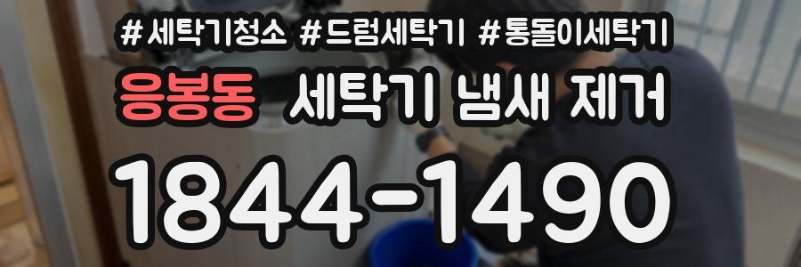 응봉동 세탁기 냄새 제거