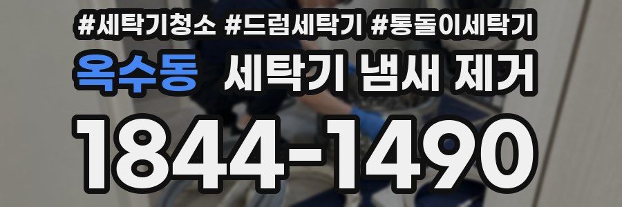 옥수동 세탁기 냄새 제거