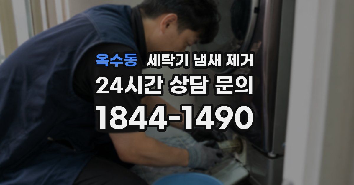 옥수동 세탁기 냄새 제거