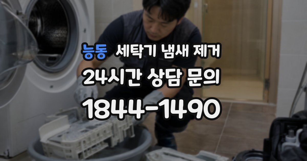 능동 세탁기 냄새 제거