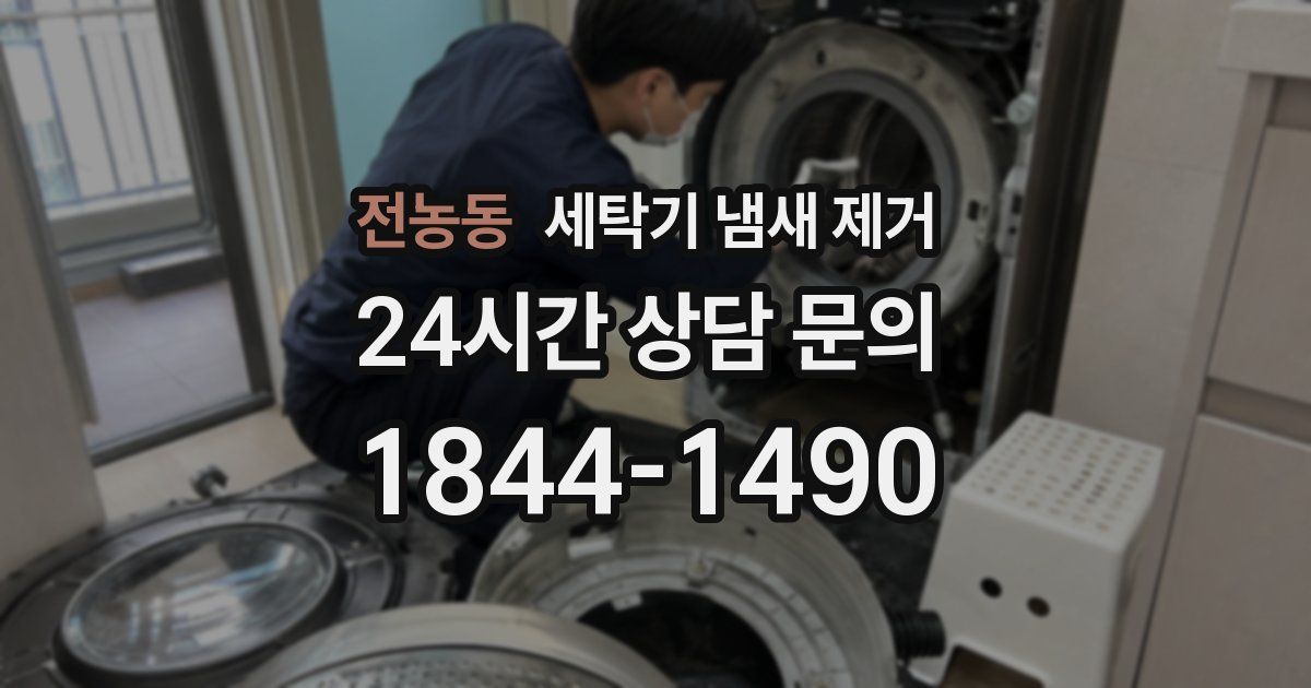 전농동 세탁기 냄새 제거