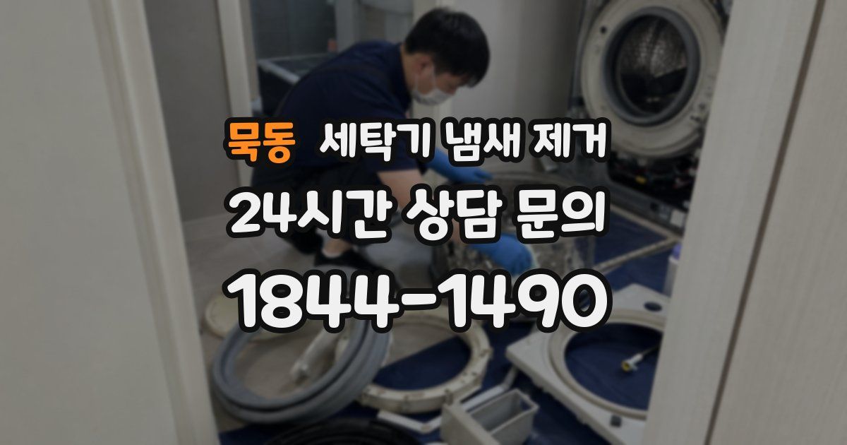 묵동 세탁기 냄새 제거