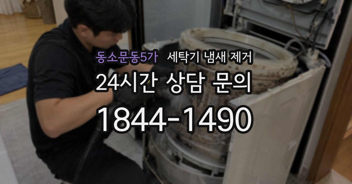 동소문동5가 세탁기 냄새 제거