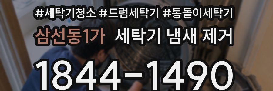 삼선동1가 세탁기 냄새 제거