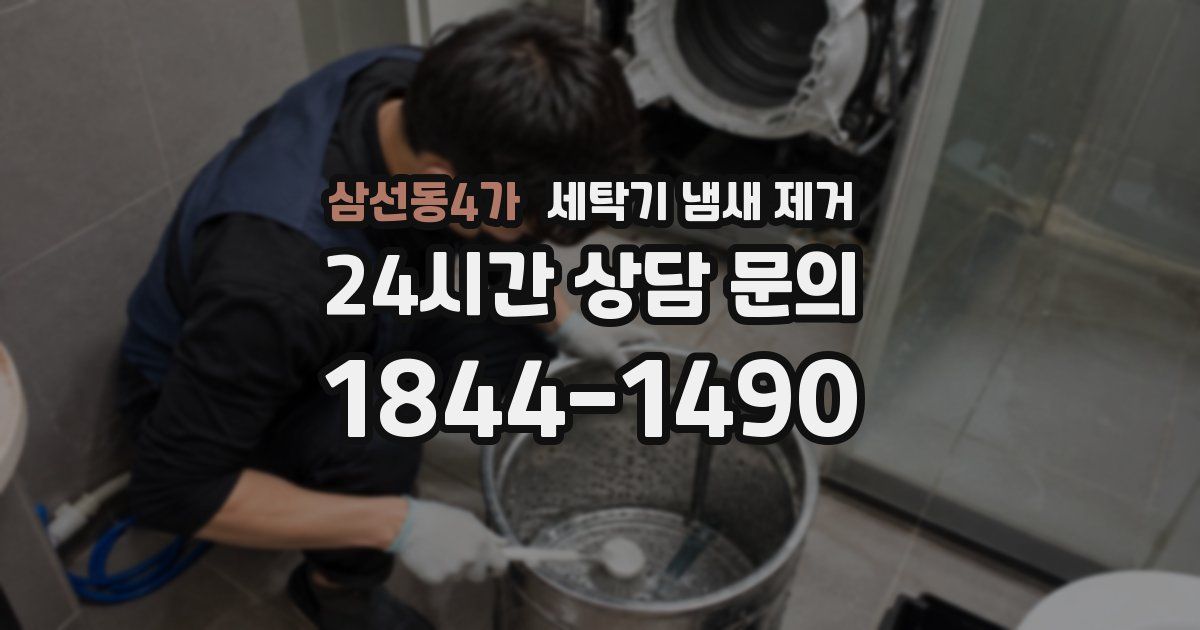 삼선동4가 세탁기 냄새 제거