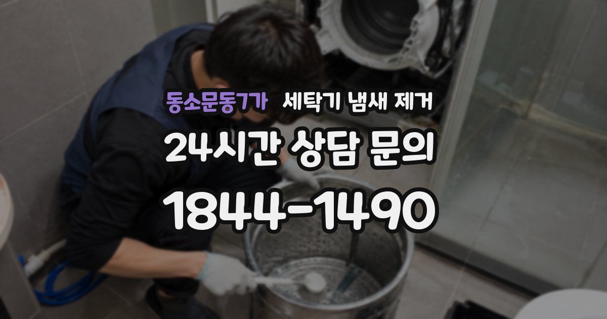 동소문동7가 세탁기 냄새 제거