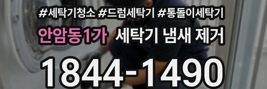 안암동1가 세탁기 냄새 제거