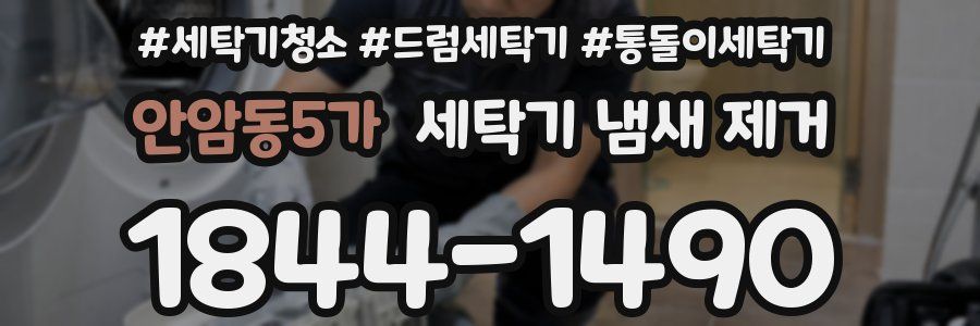 안암동5가 세탁기 냄새 제거