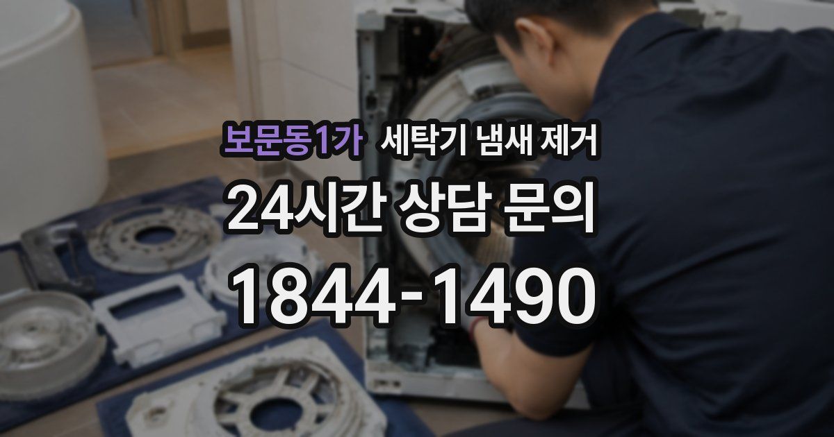 보문동1가 세탁기 냄새 제거