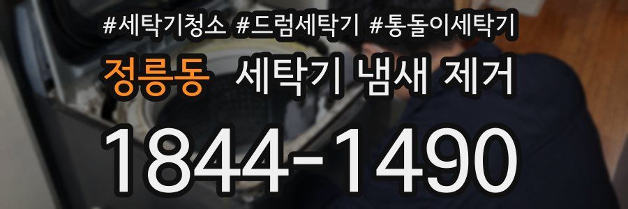 정릉동 세탁기 냄새 제거