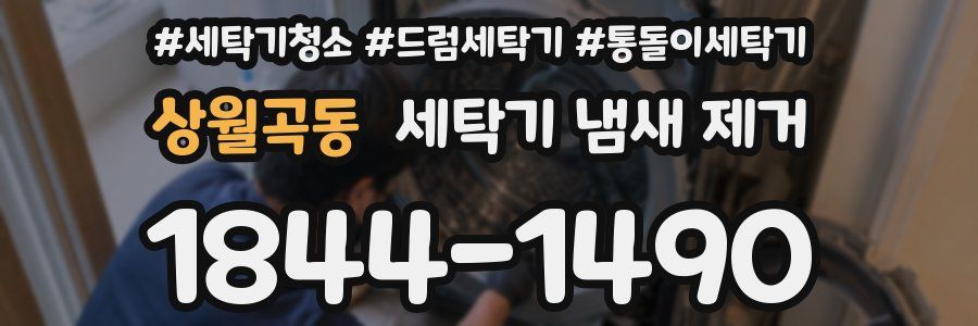 상월곡동 세탁기 냄새 제거